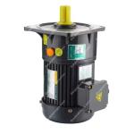 Motor giảm tốc ZD ZVN40-1500-55S 2HP (1,5kW) - 1/55 - kiểu lắp Mặt bích 3 Pha 220/380VAC